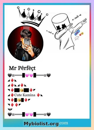 Stylish Facebook Bio for Boys