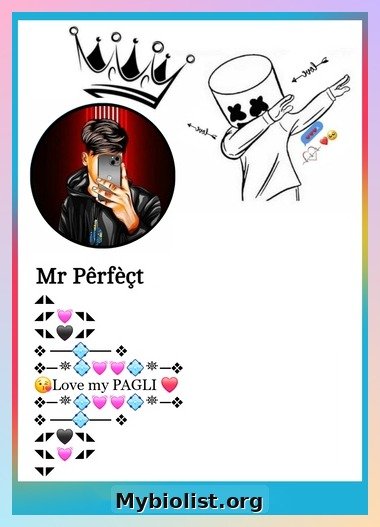 Stylish Facebook Bio for Boys