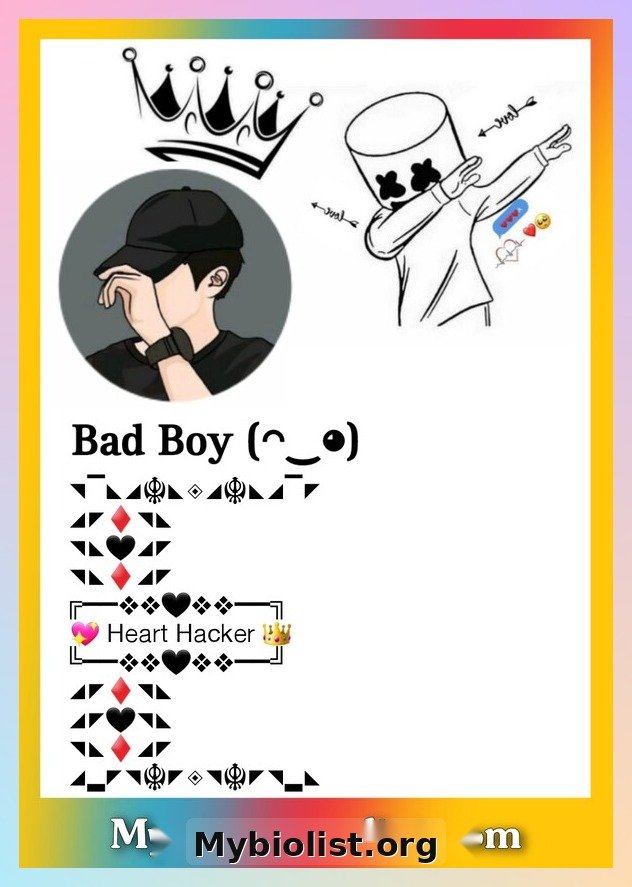 Stylish Facebook Bio for Boys