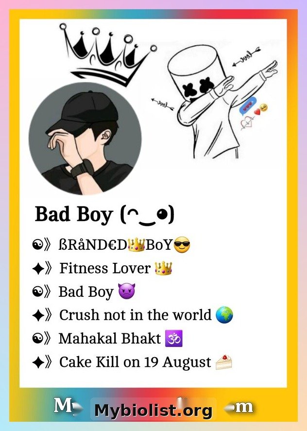 Facebook VIP Bio With Emoji & Text