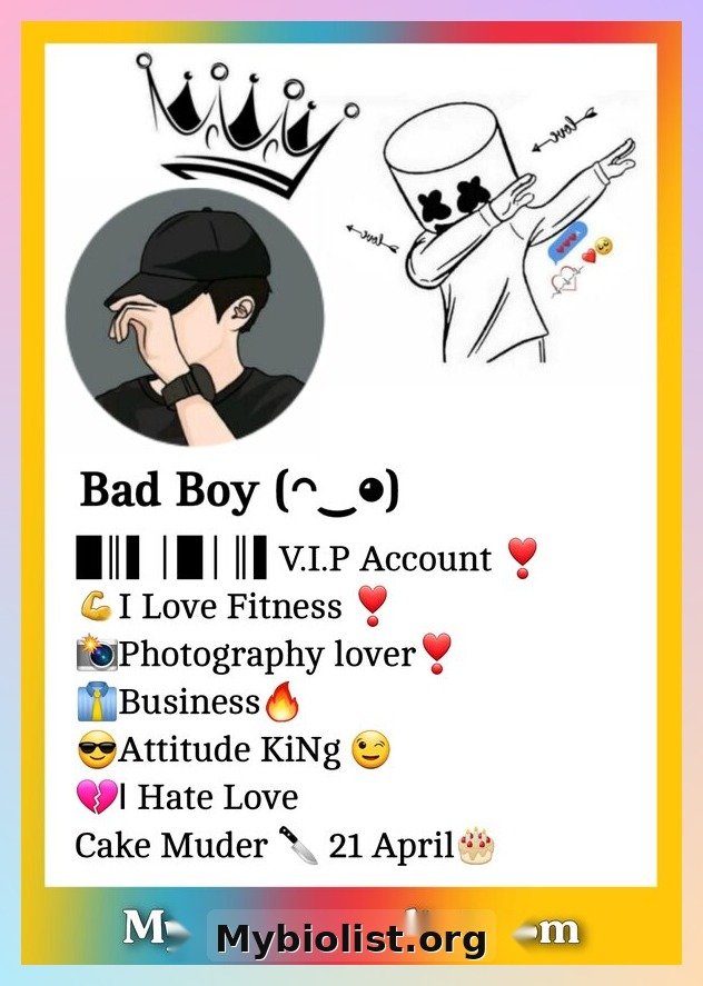 Facebook VIP Bio With Emoji & Text
