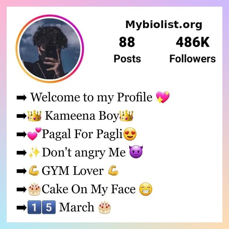 Instagram Bio For Boys (Attitude, VIP, Stylish Bio)