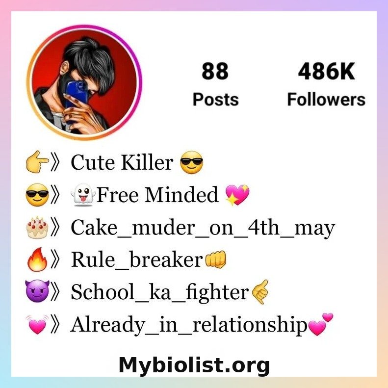 Instagram Bio For Boys (Attitude, VIP, Stylish Bio)