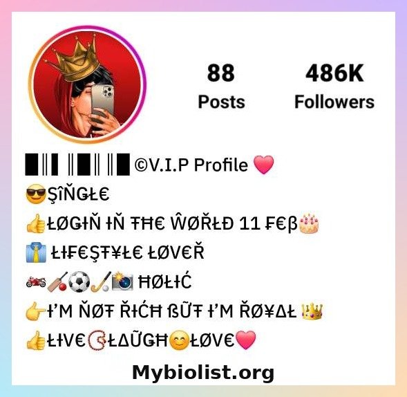 Instagram VIP Bio Stylish Font Style For Boys