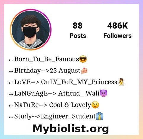 Instagram Bio Me Kya Likhe (100+ Bio)